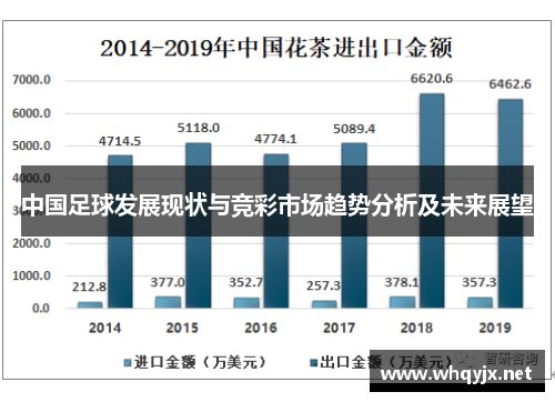 中国足球发展现状与竞彩市场趋势分析及未来展望