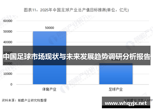 中国足球市场现状与未来发展趋势调研分析报告