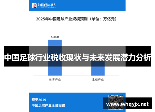 中国足球行业税收现状与未来发展潜力分析