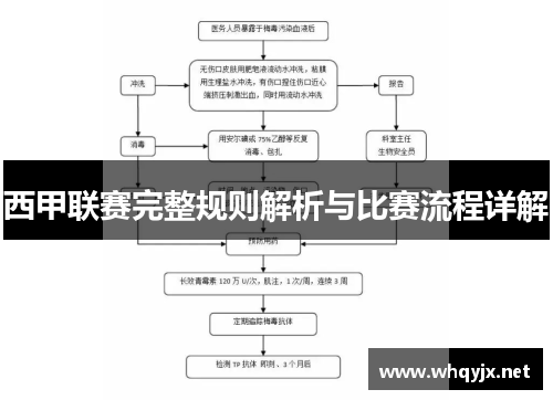 西甲联赛完整规则解析与比赛流程详解